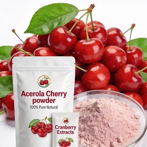 Polvo de Extracto Herbal de Acerola Silvestre, Grado Alimenticio, Certificado ISO9001, Empaquetado en Tambor para Bebidas, Alimentos y Uso OEM - Product Image 1