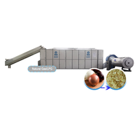 Séchoir à oignons avancé, machine de séchage, équipement de séchage des légumes