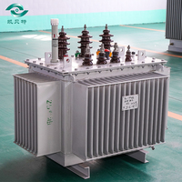 Transformateurs à huile à économie d'énergie Chine 315KVA avec conception à faible perte pour un usage industriel Transformateur à haut rendement
