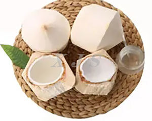 Machine commerciale de couvercle d'ouvreur de noix de <span class=keywords><strong>coco</strong></span> robinet de poinçon d'eau de <span class=keywords><strong>Coco</strong></span> d'acier inoxydable pour de jeunes noix de <span class=keywords><strong>coco</strong></span> vertes outil de contrôle facile vert - Product Image 4