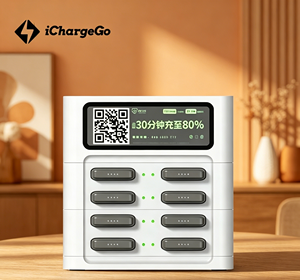 Batterie externe 20000 mAh à charge rapide pour smartphones, avec 8 emplacements, spécialement conçue pour l'Afrique, personnalisable - Product Image 2