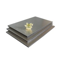 Panneaux de façade composites en aluminium brossé ignifuges modernes avec âme en PE PVDF pour immeubles d'appartements