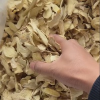 Fabricant Professionnel de Tranches de Gingembre de Haute Qualité, Naturelles et Abordables, Séchage par Déshydratation