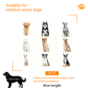 וילה לכלב גדולה, קלאסית, ניידת, קלת משקל, נושמת, מפלדת אל-חלד, לשימוש פנימי וחיצוני - Product Image 6