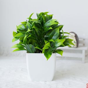 Piante Artificiali <span class=keywords><strong>da</strong></span> Scrivania, Foglie di Teak, Erba in Vaso, Decorazione per Interni ed Esterni, <span class=keywords><strong>Bonsai</strong></span> in Plastica - Product Image 3