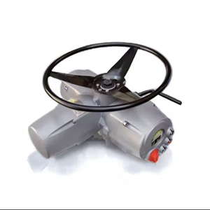 Actionneur BIFFI ICON3000 à longue durée de vie et excellent rapport qualité-prix, pour le contrôle du débit d'eau à température moyenne/normale, tailles de port 1/4 et 1/2 - Product Image 1