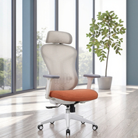Chaise de bureau ergonomique moderne en maille pivotante pour direction Appui-tête réglable Support lombaire à réglage automatique Certifié Classe-3 Gas Lift