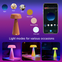 Lampe de table intelligente LED rechargeable sans fil, personnalisable, décoration de restaurant, intérieur, application Tuya, contrôle Homekit, gradation, minuterie