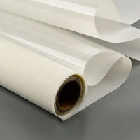 Meilleure qualité A3 Pet Matte jet d'encre rétro-éclairé FILM Polyester rétro-éclairé Film rouleau d'impression inverse à base d'eau rétro-éclairé PET Film