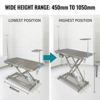 Table d'examen vétérinaire en acier inoxydable avec hauteur réglable et surface antidérapante pour chiens, chats et petits animaux