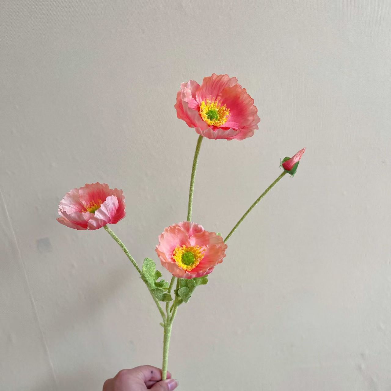 Rosso anguria