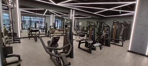 Máquina de gimnasio comercial FS03 para ejercicios de piernas, prensa de piernas, equipo deportivo <span class=keywords><strong>convergente</strong></span>, Shandong MND - Product Image 4