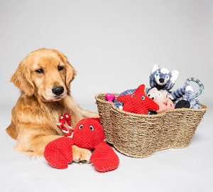 Cesto Retangular de Armazenamento Ecológico de Jacinto e Fibra de Capim Marinho, Feito à Mão, Multifuncional, Simplicidade Moderna, Organizador para Animais de Estimação e Brinquedos - Product Image 1