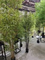 Nouveau produit : Plantes et fleurs artificielles Bonsaï, plantes artificielles en bambou pour la décoration intérieure, arbre Bonsaï