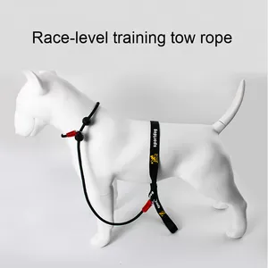 Venta directa del fabricante, cadena P, grado <span class=keywords><strong>de</strong></span> carreras, nailon sólido, cuerda <span class=keywords><strong>de</strong></span> remolque para mascotas para <span class=keywords><strong>cachorros</strong></span>, decoración <span class=keywords><strong>de</strong></span> cinta para <span class=keywords><strong>perros</strong></span> pequeños, medianos y grandes - Product Image 4