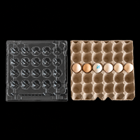 Boîte d'emballage en carton PET de qualité alimentaire transparente, 30 compartiments, renforcée, empilable, avec emplacements indépendants pour œufs, pour usage commercial