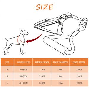 Benutzer definierter Hersteller Großhandel Natürliche umwelt freundliche Hanf Hunde halsband Geschirr mit Leine Set Hunde halsband für kleine mittelgroße Hunde - Product Image 6