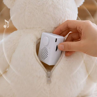 Modul Suara USB yang Dapat Diprogram untuk Boneka, Kemasan Insert, Komponen Pemutar Audio Kustom, Grosir