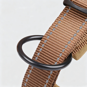 <span class=keywords><strong>Collar</strong></span> para mascotas antichoque reflectante de nailon ajustable acolchado con esponja para perros medianos con accesorio de correa - Product Image 3