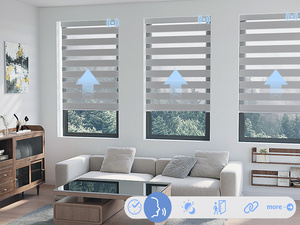 Thông minh cơ giới Zebra Con lăn Rèm cho home & văn phòng Windows điện điều khiển từ xa Day & Night màn không dây - Product Image 3