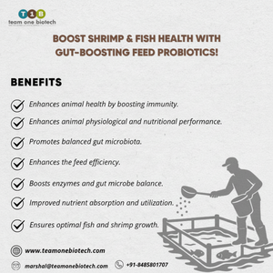 Aquaculture Feed <b>Probiotics</b> - Product Image 1