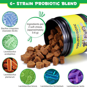 Marque privée/Logo Suppléments de soins de santé pour animaux de compagnie Probiotic Immune Soft Chews pour aider à maintenir une bonne flore intestinale et Ph - Product Image 3