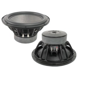 Subwoofer passif Huiyin Factory de 12 pouces à double aimant haute puissance pour home cinéma et restaurants - Product Image 1