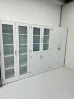 Ensemble complet de mobilier de laboratoire, comprenant une hotte de laboratoire, un banc de travail et un évier, aménagement personnalisable, OEM accepté