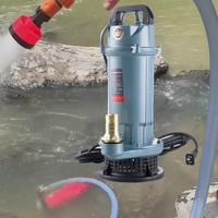 Pompe à eau submersible haute pression pour l'irrigation agricole à grand débit QDX1.5-16-0.37A à prix abordable