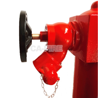 Hydrant d'incendie de type BS de 4 pouces, prix d'usine CA, hydrant d'incendie de 100 mm avec vanne d'hydrant DN65