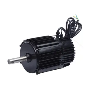 Hohe Drehzahl Großes Drehmoment 2 PS 1500 U/min 500W 12V 24V 48V kernloser bürstenloser Gleichstrom motor