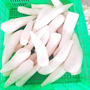 Cebollas de yuca frescas secas de alta calidad Frijoles Setas Procesamiento de tallo vegetal Congelado con certificado IQF - Product Image 3