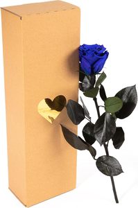AYOYO Rosa Eterna Blu, Rose Vere Conservate con Stelo Lungo 30-35cm in Confezione <span class=keywords><strong>Regalo</strong></span> per Donne, <span class=keywords><strong>Regalo</strong></span> di <span class=keywords><strong>San</strong></span> <span class=keywords><strong>Valentino</strong></span> 2026 - Product Image 2