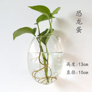 Maceta <span class=keywords><strong>de</strong></span> Cristal Creativa para Plantas Hidropónicas Colgantes, con Forma <span class=keywords><strong>de</strong></span> <span class=keywords><strong>Huevo</strong></span> <span class=keywords><strong>de</strong></span> Dinosaurio, para Montar en la Pared, Transparente, para Flores, Pecera Pequeña, Estilo Moderno y Simple - Product Image 2