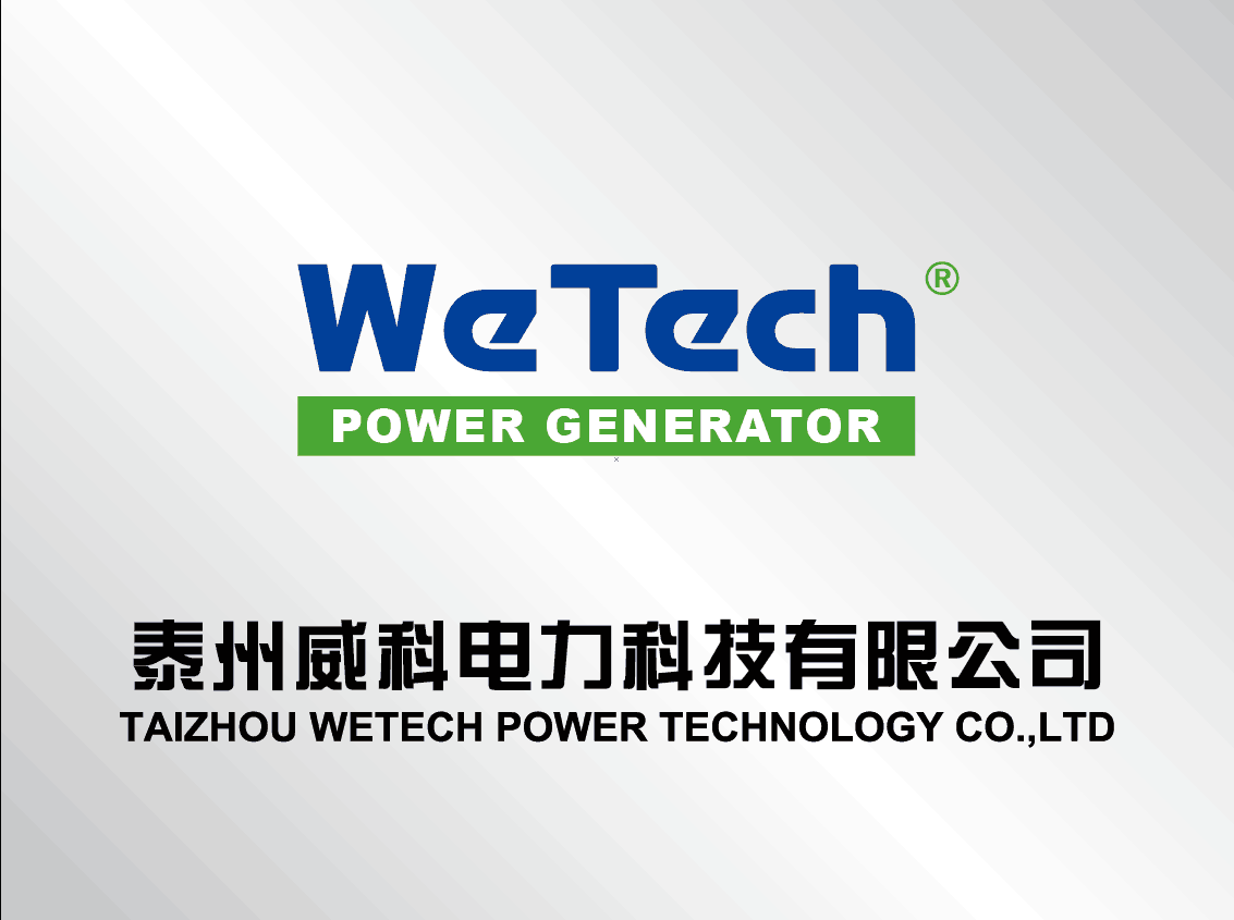 Taizhou Wetech Power Technology Co., Ltd.