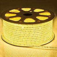 Bande lumineuse LED avec prise ue, 220V, dimmable, bande lumineuse d'ambiance, flexible pour le salon