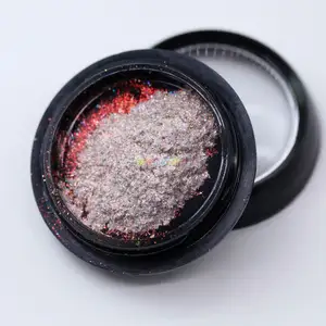 Nuovo ombretto cosmetico che cambia colore Chameleon pigmento olografico in polvere Dry Make up Palette di ombretti ad alto pigmento