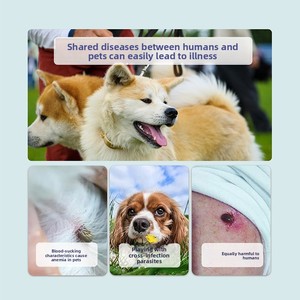 <span class=keywords><strong>Collier</strong></span> Réglable Anti-Puces et Anti-Moustiques Résistant à l'Eau <span class=keywords><strong>pour</strong></span> Chiens et Chats - Product Image 4