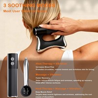 Brosse de massage électrique pour fascias avec fonction musicale, micro-courant et thérapie thermique ; Appareil de relaxation alimenté par USB, brosse pour méridiens
