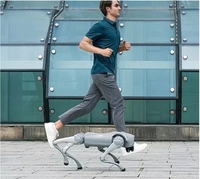 Robot quadrupède biomimétique à reconnaissance faciale pour la sécurité des patrouilles, robot chien pour les aéroports, les métros et les trains à grande vitesse