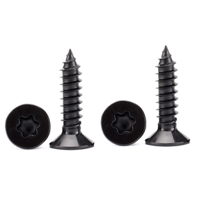 Viti Autofilettanti a <span class=keywords><strong>Testa</strong></span> <span class=keywords><strong>Svasata</strong></span> Torx in Acciaio Inox 304 Zincate Nero Lucido (Multi-Misura) - Product Image 6