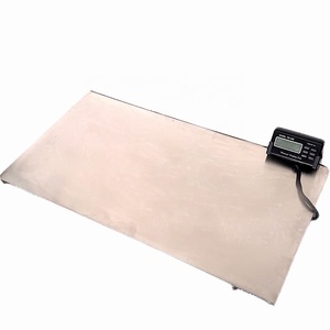 Balance numérique intelligente pour <span class=keywords><strong>chien</strong></span> de compagnie en acier inoxydable d'approvisionnement d'usine de dingfeng pour la maison - Product Image 4
