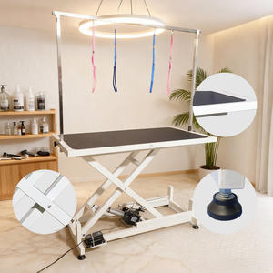 Table de toilettage pour chien à hauteur réglable, en acier inoxydable durable, motorisée, électrique, instrument vétérinaire pour animaux de compagnie - Product Image 1