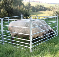 12 ft Moderne Draagbare Zware Gegalvaniseerde Metalen Ronde Omheining voor Vee, Paarden en Dieren, Eenvoudig te Monteren