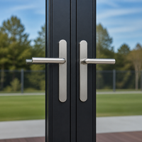 Porte en verre teinté à cadre étroit en alliage d'aluminium noir Hangxing, ouverture horizontale, design minimaliste pour extérieur commercial