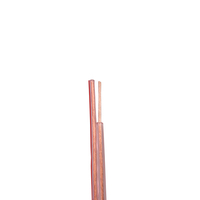Câble de Haut-Parleur Professionnel Hi-Fi 18AWG en Cuivre Nu Transparent, Vente Chaude, 03 0.5mm² 2C*500/0.08mm 2.2/4.4PVC