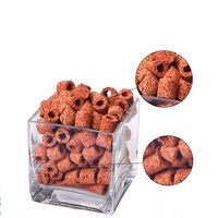 Support filtrant céramique bio annulaire haute porosité et durable de 19 mm pour aquarium, certifié ISO9001, en argile minérale naturelle pour nitrification