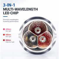 Linterna de Terapia de Luz Roja de Acero Inoxidable al por Mayor, con Logotipo Personalizado, 850nm Infrarrojo, Alivio del Dolor, Venta Directa de Fábrica