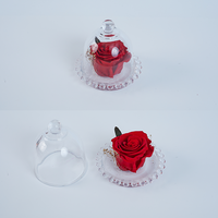 Großhandel Einzelhandel E-Commerce Valentinstagsgeschenke Ewige Blumen Geschenke Kleine Blumendekoration Mini Konservierte Rose unter Glaskuppel