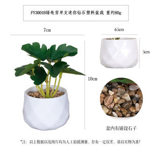 Gran oferta, pequeño mini bonsái de plástico, <span class=keywords><strong>Cactus</strong></span> falso, suculentas en maceta, plantas artificiales en maceta - Product Image 6